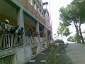 exodus Fernandes (3)